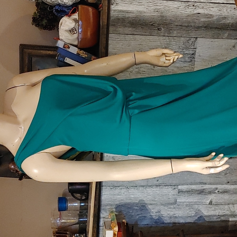 BCBG Maxazria Gown Sz. Lg
